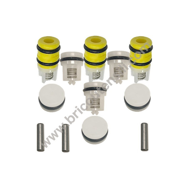 Kit LW Intake Delivery Valves for High Pressure Washer ARMY 110