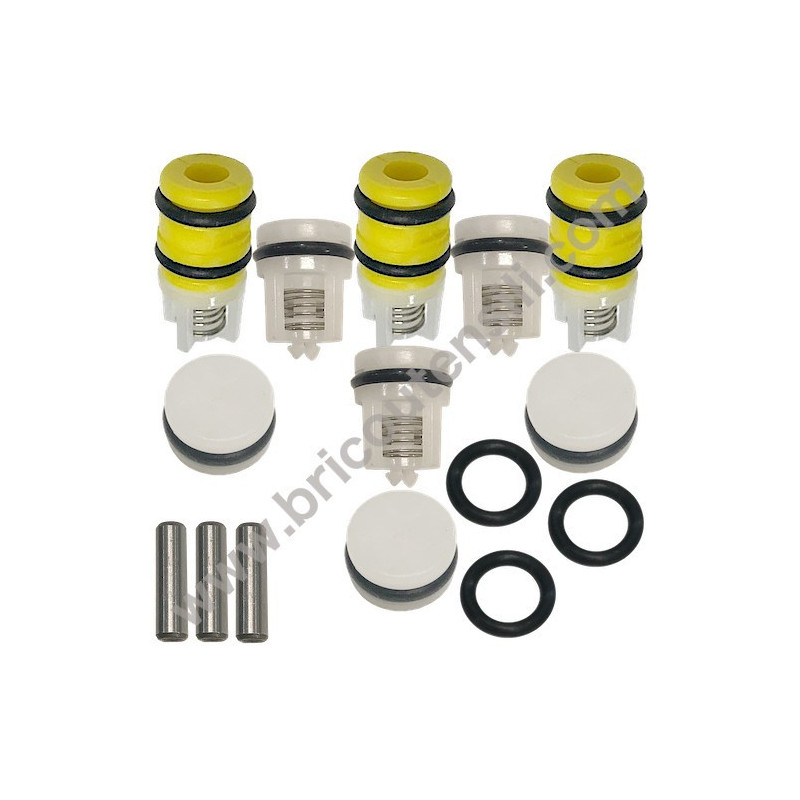 Kit 358 LW Intake Delivery Valves for High Pressure Washer ARMY 110