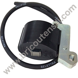 Bobina Accensione Elettronica per Motori CM 25-46-80-90