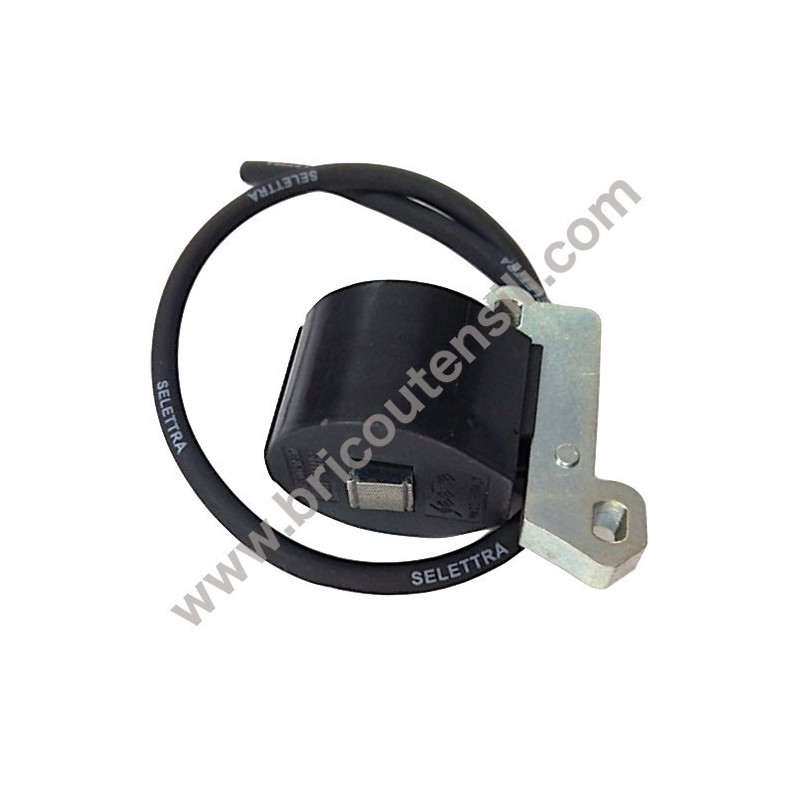 Bobina Accensione Elettronica per Motori CM 25-46-80-90