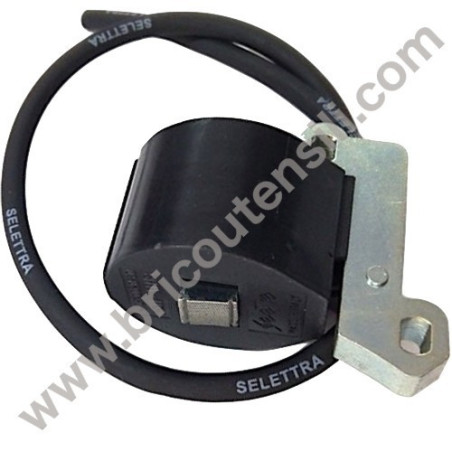 Bobina Accensione Elettronica per Motori CM 25-46-80-90