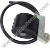 Bobina Accensione Elettronica per Motori CM 25-46-80-90