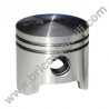 Piston for Petrol Engine Pump Papillon PT 843