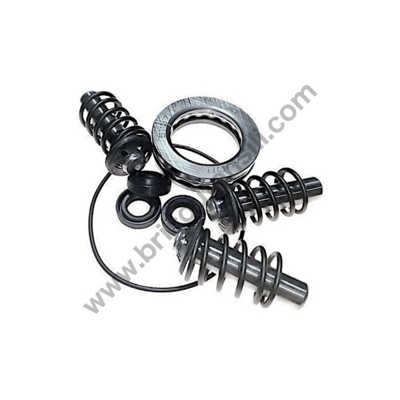 Kit Pistons for Pressure Washers Annovi & Reverberi AR142-AR260-AR388