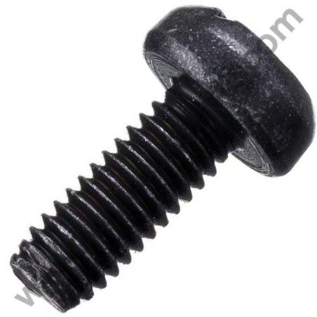 Vite Con Filetto Scanalato M4x10 per Levigatrice Bosch GEX 125 AC