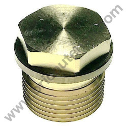 Tappo 1/2'' Gas per le Idropulitrici AR Blu Clean e Farmer's Division