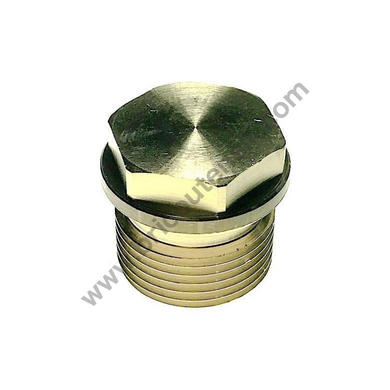 Tappo 1/2'' Gas per le Idropulitrici AR Blu Clean e Farmer's Division