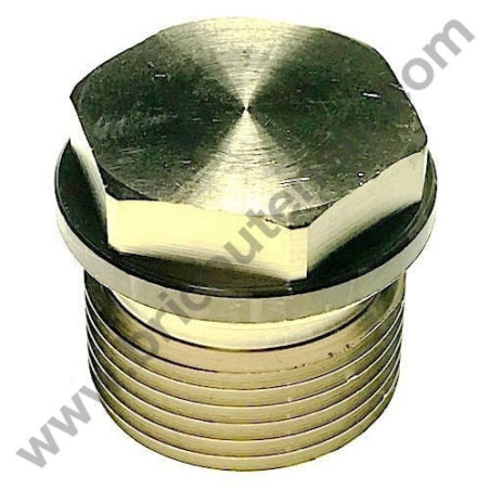 Tappo 1/2'' Gas per le Idropulitrici AR Blu Clean e Farmer's Division