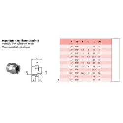 Coupling Female/Female with cylindrical thread 1/2"