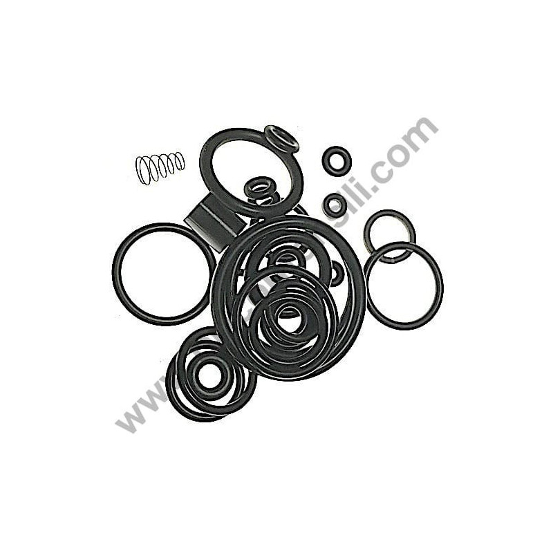 Kit O-Ring for Pressure Washers AR Farmer's Division BLITZ-COMFORT-S