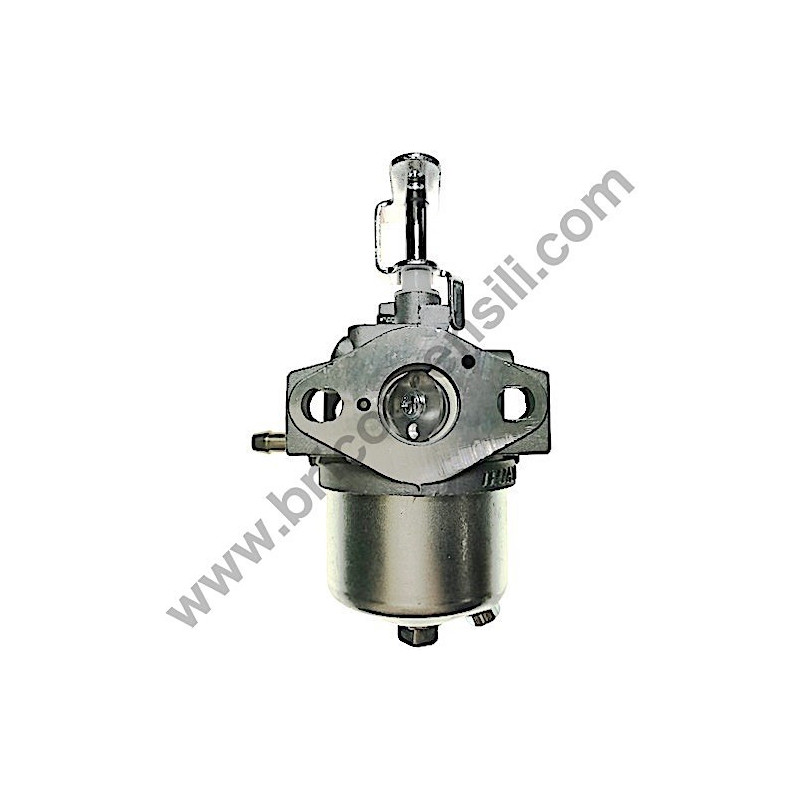 Carburator Complete for Engine AMA MVG - T100