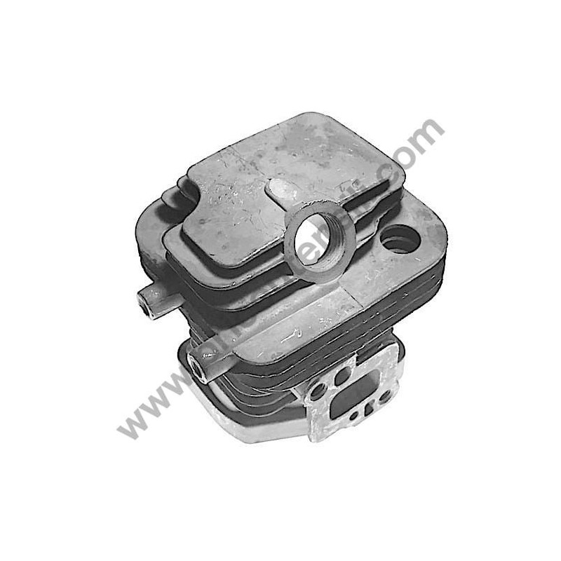 Cilindro per Tagliasiepi Alpina H 60 - HTJ 550