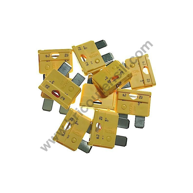 Kit 10 Fusibili 20A per Caricabatterie Telwin ALPINE 20 BOOST