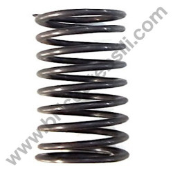 Piston Spring for Pressure Washers AR Wash Top 100 T-EXTREME 150 TSS
