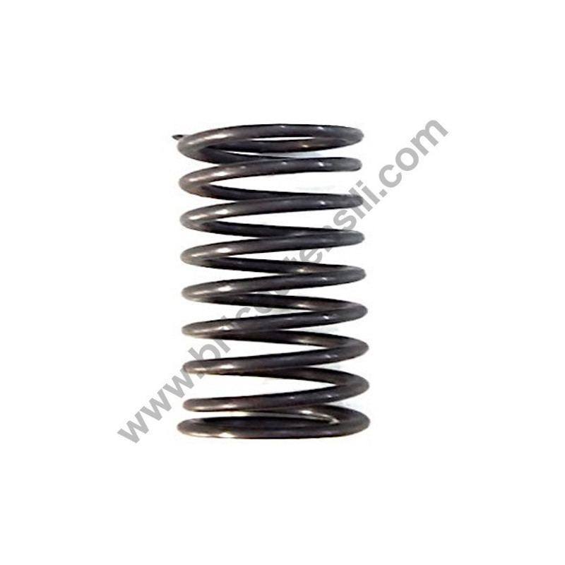 Piston Spring for Pressure Washers AR Wash Top 100 T-EXTREME 150 TSS