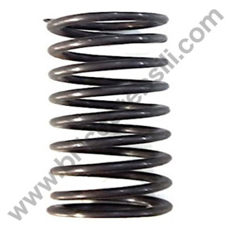 Piston Spring for Pressure Washers AR Wash Top 100 T-EXTREME 150 TSS