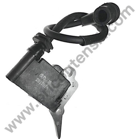 Ricambi Hitachi per Motosega da Potatura Hitachi CS25EC-SC