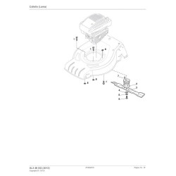 Ricambi Alpina per Rasaerba a Scoppio AL3 46 SG (2012) - 295486040/A12