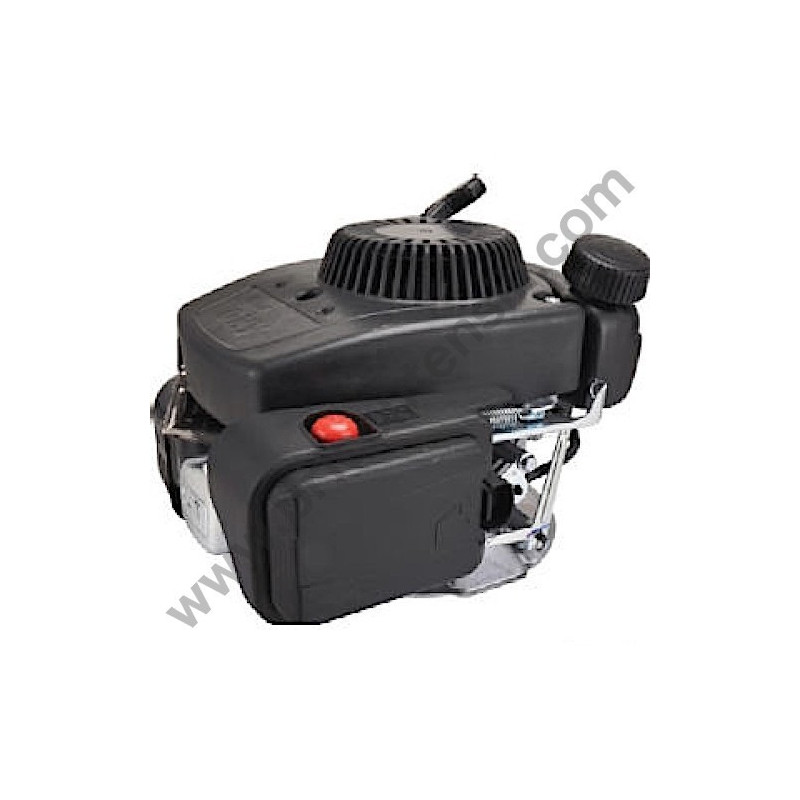 Four-Stroke Petrol Engine Alpina GGP RS 100