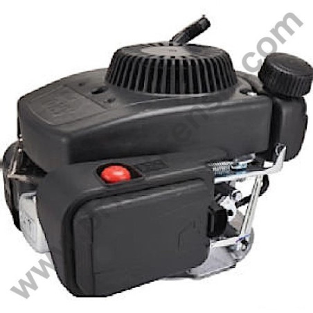 Four-Stroke Petrol Engine Alpina GGP RS 100