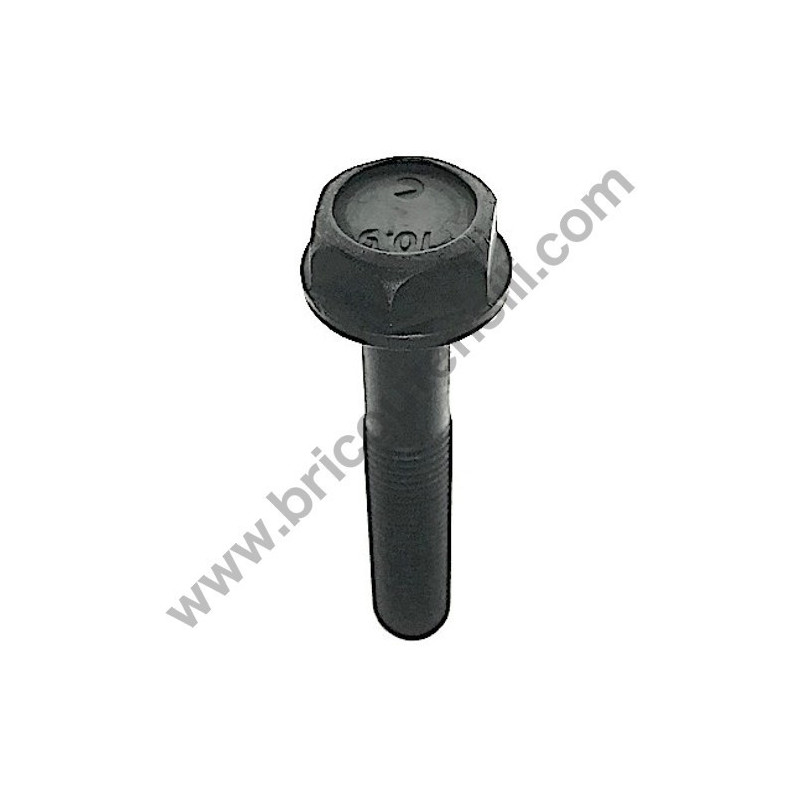 Blade Special Bolt for Self-Propelled Lawnmower AMA LT 52H
