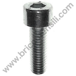 Vite TCCE ZN M8X25 Sx Bloccaggio Disco per Troncatrici XXX - XXX Alu