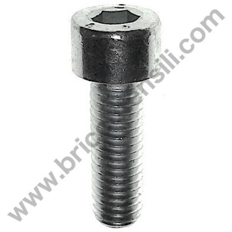 Vite TCCE ZN M8X25 Sx Bloccaggio Disco per Troncatrici XXX - XXX Alu