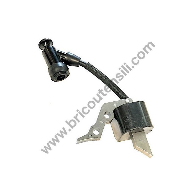 Bobina Completa per Motore AMA MVG - T100