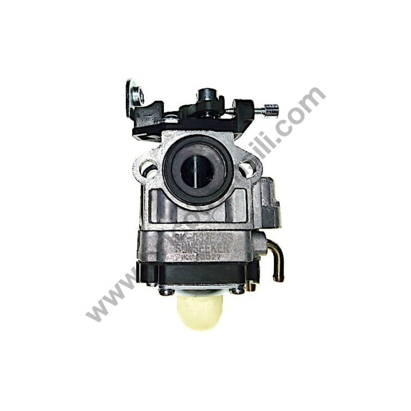 Carburatore per Motopompa Papillon PT 843