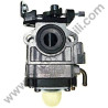 Carburatore per Motopompa Papillon PT 843