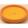 Citronella in Coccio 18cm