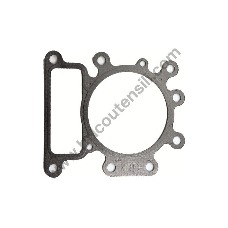 Ricambi Briggs & Stratton per Motore Serie 450