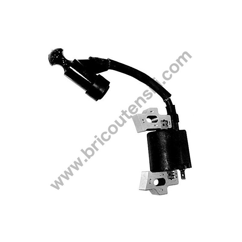 Electronic Coil for Lawnmovers Papillon Green 48-48N