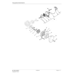 Ricambi Alpina per Decespugliatore BJ 250 (2007) 282310007/05