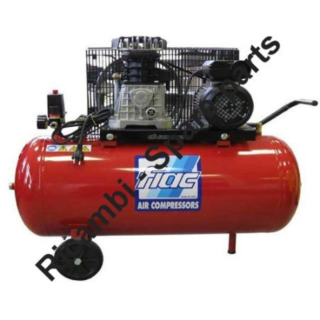 FIAC Spare Parts for Piston Air Compressor AB 300 530-670-850