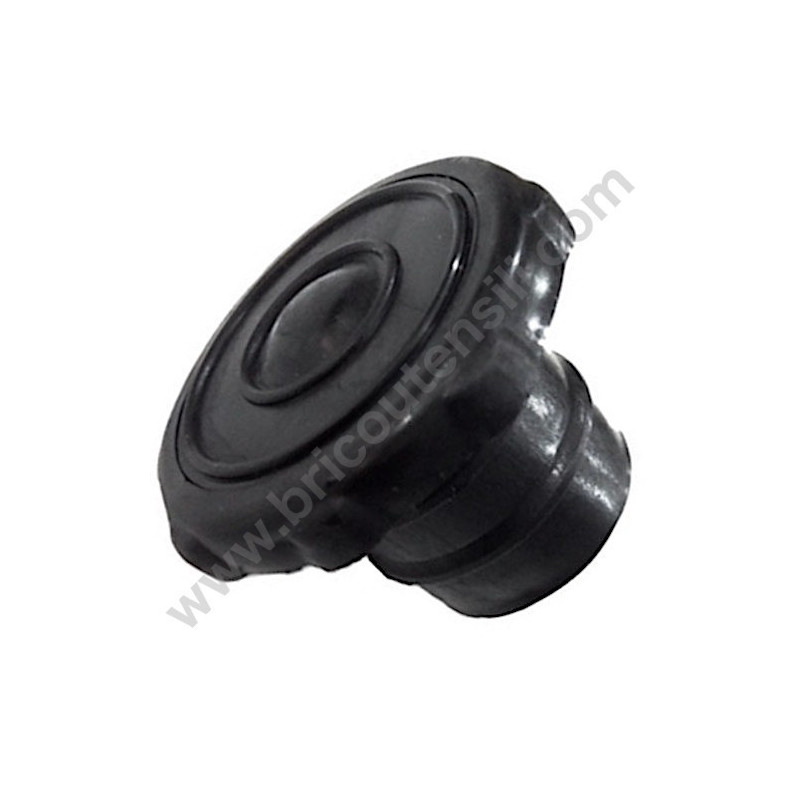 Tank Cap for Motor Pump CM 46/N