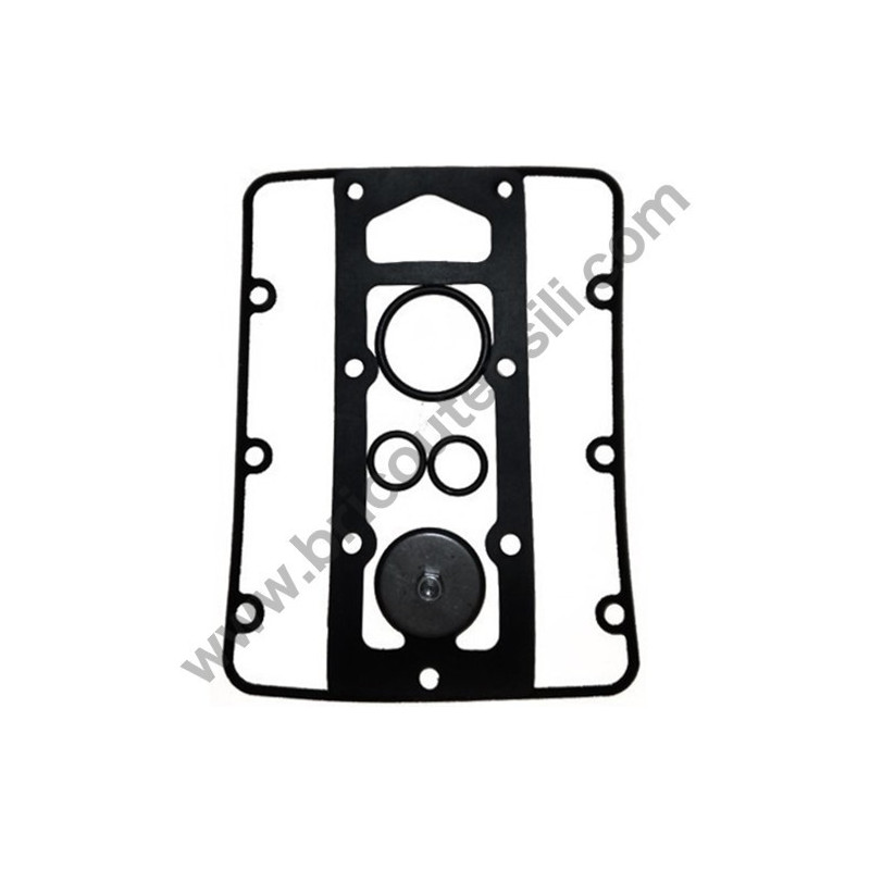 Serie Guarnizioni Pompa 1'' Autoadescante per Pompe CM 46/N