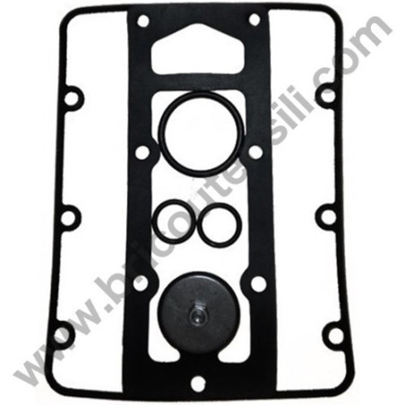 Serie Guarnizioni Pompa 1'' Autoadescante per Pompe CM 46/N