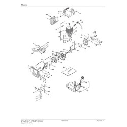Ricambi Alpina per Decespugliatore STAR 55 DP (2012) 285621000/05