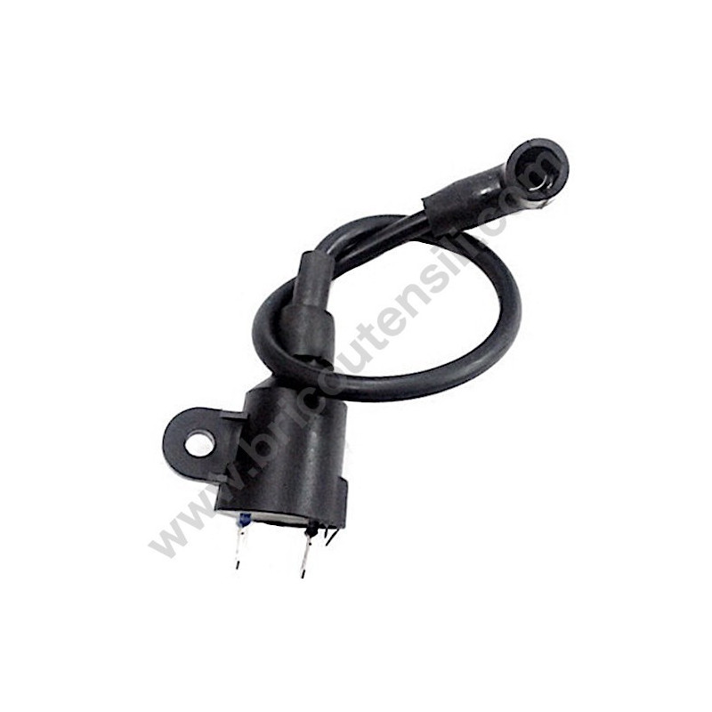 Bobina Alta Tensione per Generatore e Motopompa POCKET 1000-MP15000