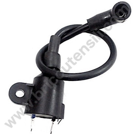 Bobina Alta Tensione per Generatore e Motopompa POCKET 1000-MP15000