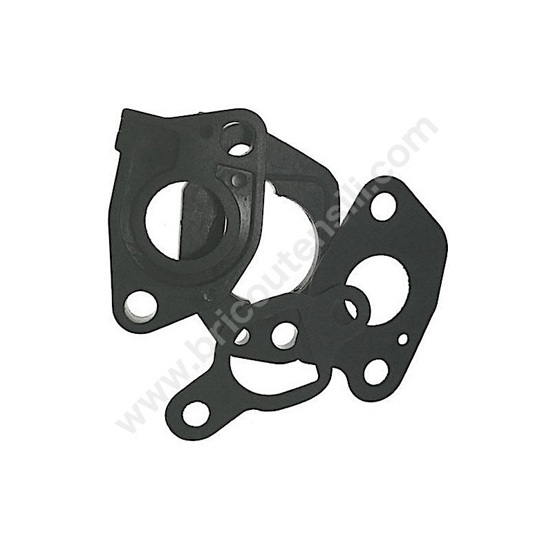 Kit Guarnizioni Carburatore per Rasaerba Papillon GREEN 40