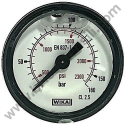Gauge for Pressure Washer Annovi & Reverberi AR 610