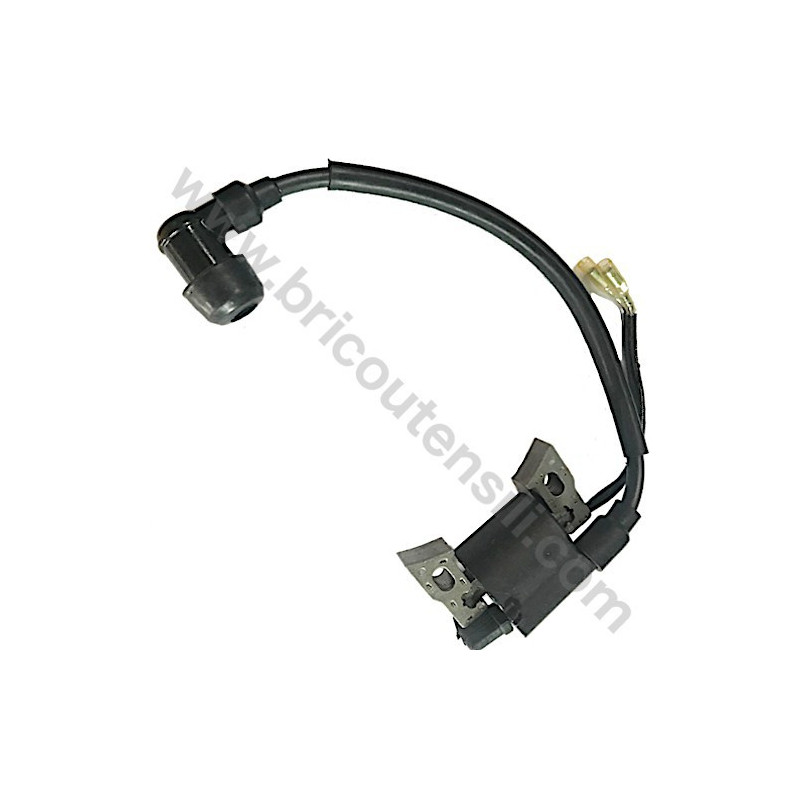 Electronic Coil for Pressure Washer Lavor Independent 1900