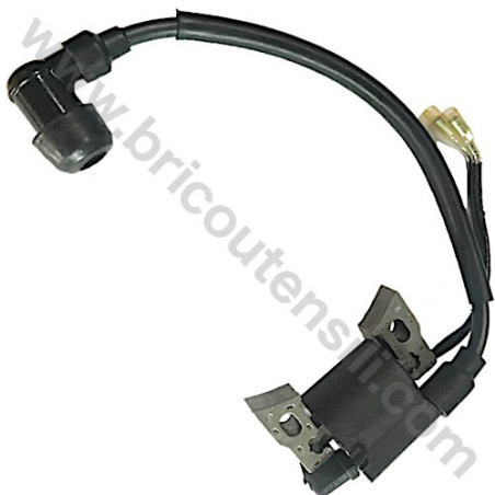 Electronic Coil for Pressure Washer Lavor Independent 1900