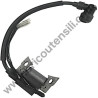 Electronic Coil for Pressure Washer Lavor Independent 1900 - 1