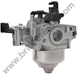 Carburetor for Lawnmowers and Tiller Valex