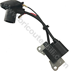 Ricambi Hitachi per Motosega da Potatura Hitachi CS25EC-SC