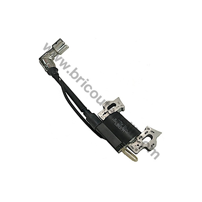 Bobina Accensione Completa per Motore Loncin LC1P170FAD