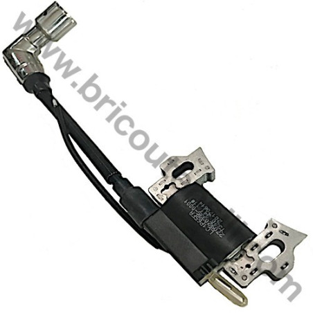 Bobina Accensione Completa per Motore Loncin LC1P170FAD